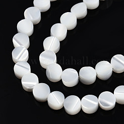 Natural Trochus Shell Beads Strands&nbsp;SSHEL-N034-165