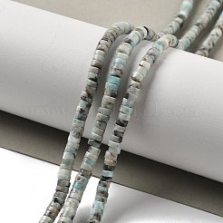 Natural Larimar Beads Strands&nbsp;G-Q024-B03-01