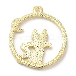 Alloy Pendants&nbsp;PALLOY-M214-02G