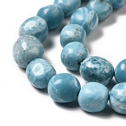 Natural Gemstone Beads Strands&nbsp;G-F730-05B