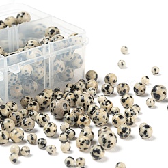 340Pcs 4 Style Natural Dalmatian Jasper Beads&nbsp;G-LS0001-48