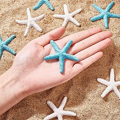 Resin Cabochons&nbsp;PH-CRES-G015-05-WH