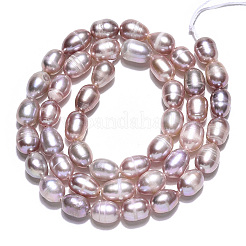 Natural Cultured Freshwater Pearl Beads Strands&nbsp;PEAR-N012-05P