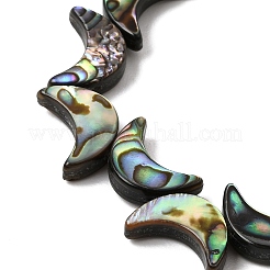 Natural Abalone Shell Paua Shell Beads Strands&nbsp;SSHEL-M021-08A