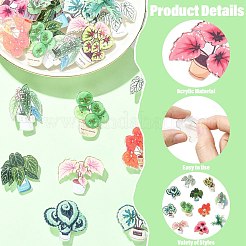 24Pcs 12 Styles Plant Acrylic Lapel Pin Brooch Pin&nbsp;JEWB-CJ0003-38