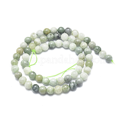 Natural Myanmar Jade/Burmese Jade Beads Strands&nbsp;G-D0001-08-6mm