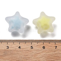 Frosted Transparent Acrylic Beads&nbsp;OACR-A032-13C