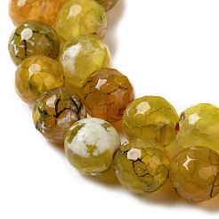 Dyed & Heated Natural Fire Crackle Agate Beads Strands&nbsp;G-P539-B01-13