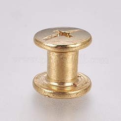 Iron Screw Rivets&nbsp;IFIN-WH0051-09A-G