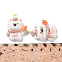 Cartoon White Cat Resin Decoden Cabochons&nbsp;CRES-R203-01A