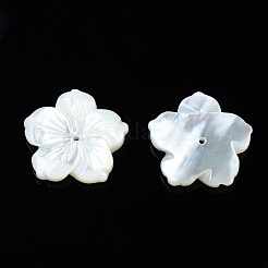 Natural White Shell Mother of Pearl Shell Beads&nbsp;SSHEL-T014-42D