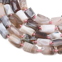 Natural Botswana Agate Beads Strands&nbsp;G-A314-A01-01