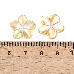 Natural Yellow Shell Carved Beads&nbsp;SSHEL-B006-07