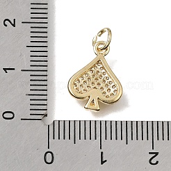 Brass Micro Pave Clear Cubic Zirconia Charms&nbsp;CU-L001-19G-04