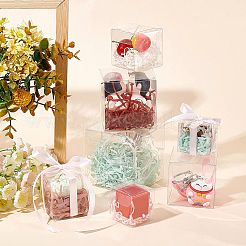 Plastic Clear Packaging Boxes&nbsp;CON-BC0005-43