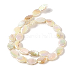 Natural Freshwater Shell Beads Strands&nbsp;BSHE-H018-06