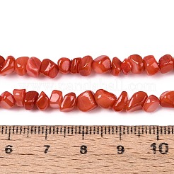 Natural Freshwater Shell Beads Strands&nbsp;SHEL-N037-04D
