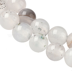 Natural Dendritic Agate Beads Strands&nbsp;G-C011-6mm-01