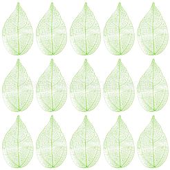 100Pcs Dried Flower Leaf Craft Supplies&nbsp;AJEW-CP0009-41A