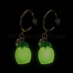 Luminous Fruits Alloy Resin Stud Dangle Earrings&nbsp;RE-CBAB555-01G-B