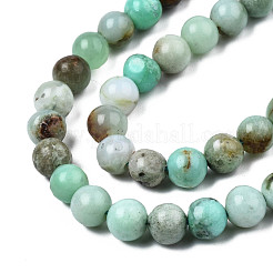 Natural Chrysoprase Beads Strands&nbsp;G-S333-6mm-016