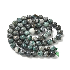 Natural Dioptase Beads Strands&nbsp;G-D302-02-6mm