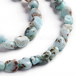 Natural Larimar Beads Strands&nbsp;X-G-D0002-B38