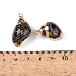 Natural Sea Shell Pendants&nbsp;SSHEL-N038-46