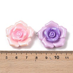 Opaque Resin Pendants&nbsp;RESI-B035-01