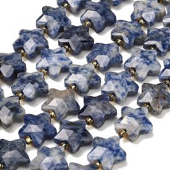 Natural Blue Spot Beads Strands&nbsp;G-P573-C45-01