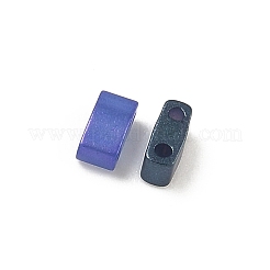 Glass 2-Hole Baking Paint Glass Seed Beads&nbsp;GLAA-G130-01F