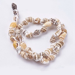 Natural Sea Shell Beads Strands&nbsp;X-BSHE-K012-07