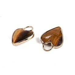 Natural Tiger Eye Faceted Pendans&nbsp;KK-L218-005G-01