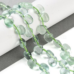 Natural Green Fluorite Beads Strands&nbsp;G-G116-A02-01