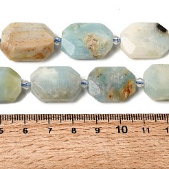 Natural Amazonite Beads Strands&nbsp;G-J373-24G
