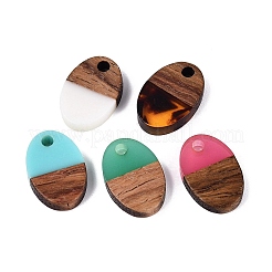 Transparent & Opaque Resin & Walnut Wood Pendants&nbsp;RESI-N053-29