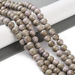 Natural Rainbow Alashan Agate Beads Strands&nbsp;G-NH0022-A09-02