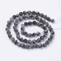 Natural Black Larvikite Beads Strands&nbsp;G-J376-47A-6mm