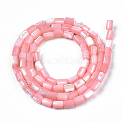 Natural Trochid Shell/Trochus Shell Beads Strands&nbsp;SHEL-N003-26-B05