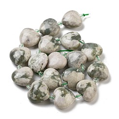 Natural Peace Jade Beads Strands&nbsp;G-C150-A01-01