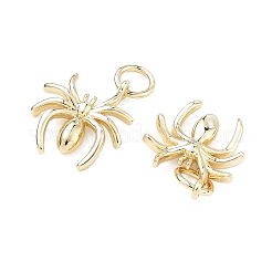 Brass Pendants&nbsp;KK-C251-23G