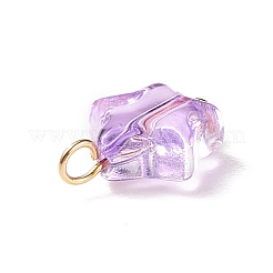Glass Charms&nbsp;PALLOY-JF01731