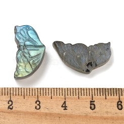 Natural Labradorite Carved Cabochons&nbsp;G-C152-03A