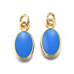Brass Enamel Charms&nbsp;KK-C106-05G