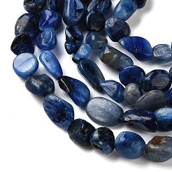 Natural Kyanite Beads Strands&nbsp;G-C268-A08-6x8mm
