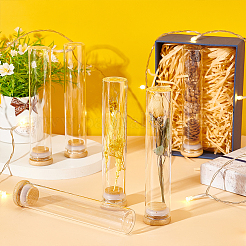10Pcs Glass Bead Storage Tubes&nbsp;AJEW-BC0006-90B