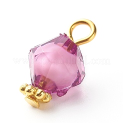 Transparent Acrylic Charms&nbsp;PALLOY-JF00877