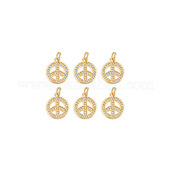 Brass Micro Pave Clear Cubic Zirconia Pendants&nbsp;KK-BC0013-89