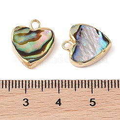 Natural Paua Shell Heart Charms with Brass Edge&nbsp;SHEL-P017-19G