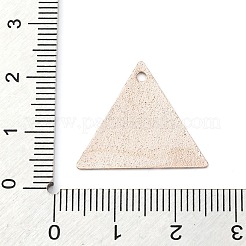 Geometric Alloy Sheet Printed Pendant Earrings Accessories&nbsp;PALLOY-E139-01G-07